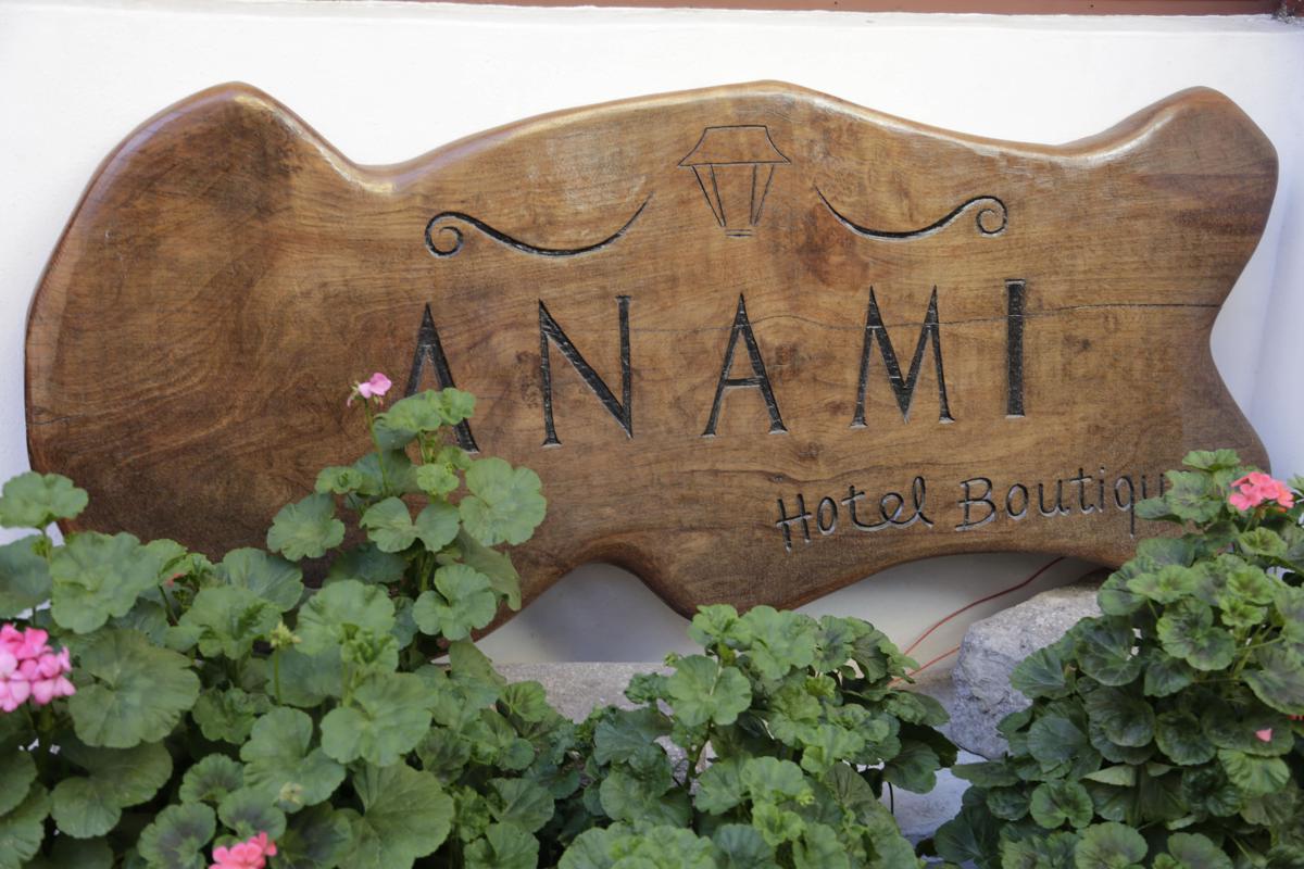 Anami Hotel Boutique photo 1