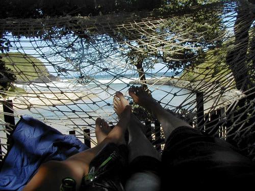 Coffee Shack Adventure Backpackers & Accommodation photo 1