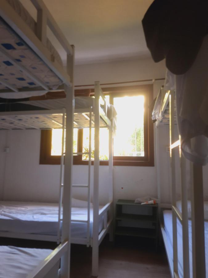 Sea Wolf Surf Hostel - Campeche photo 6