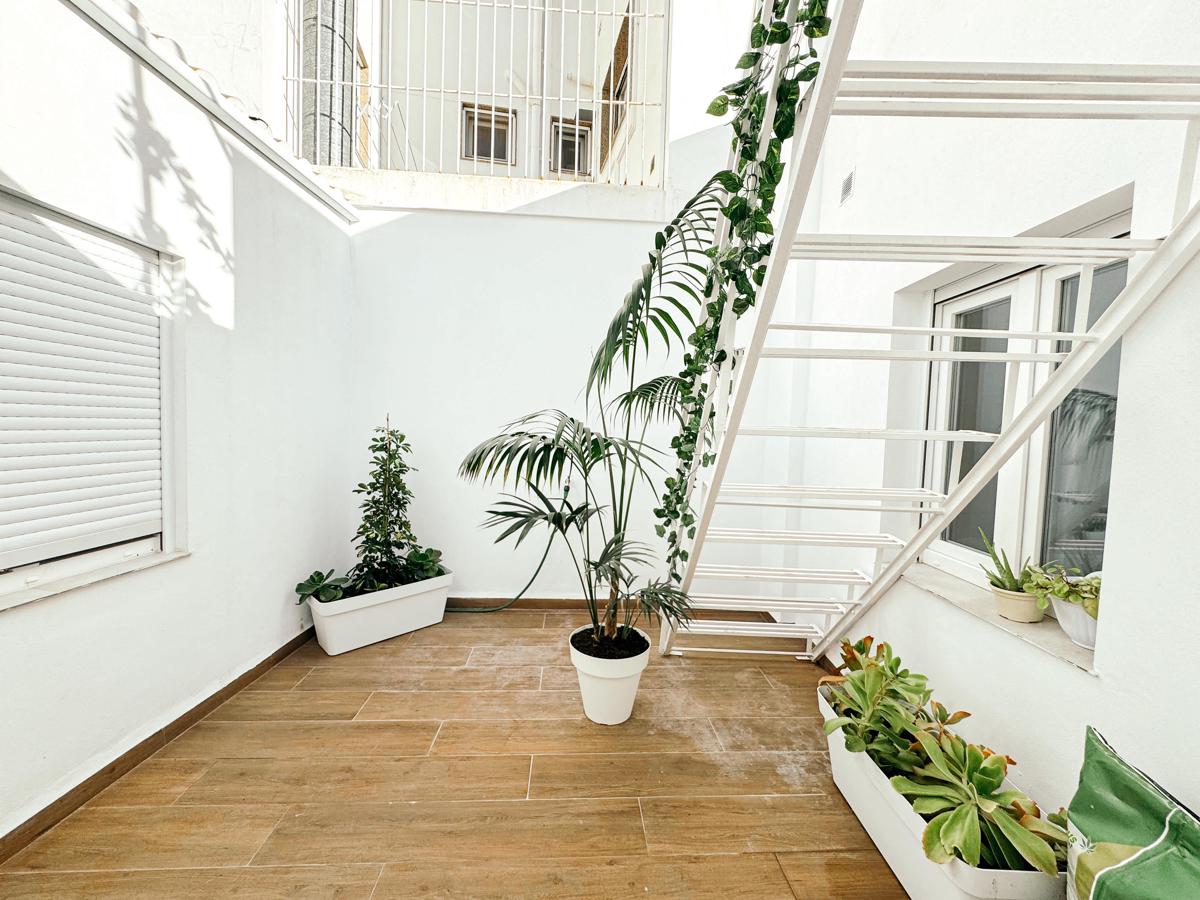 Vita Verde photo 4