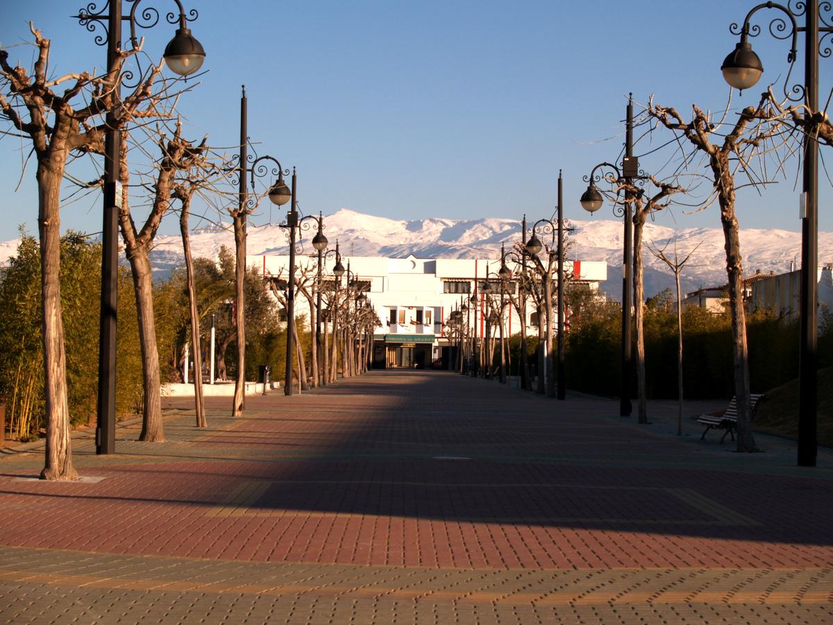Hotel Corona de Atarfe photo 2