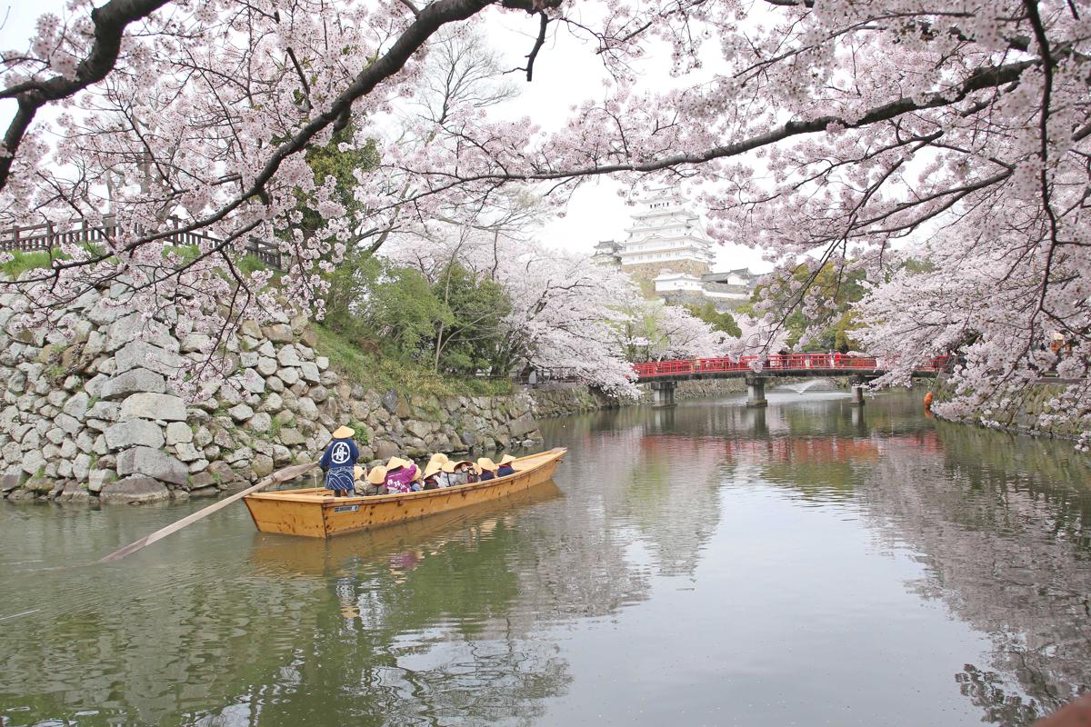 ONE HOSTEL Himeji photo 3