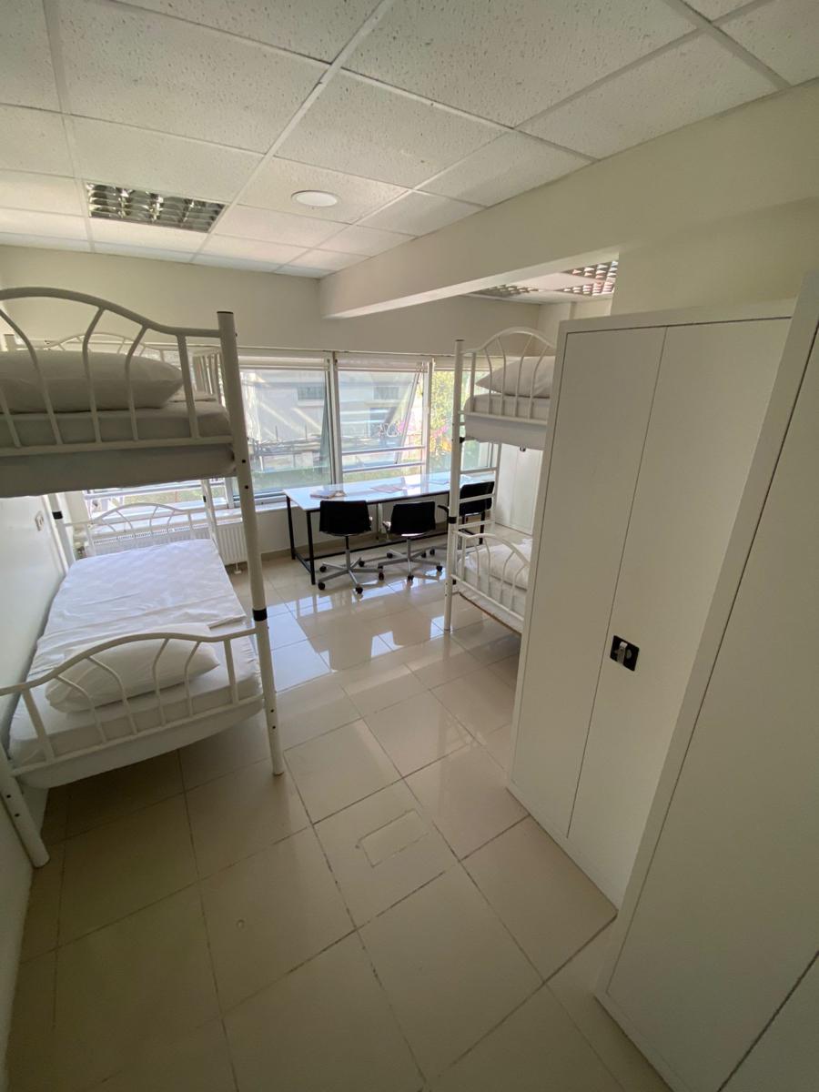 Bull Hostel photo 2