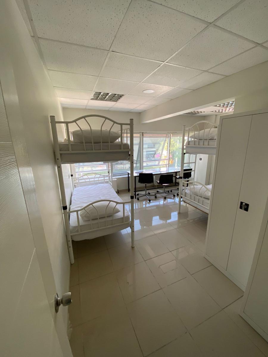 Bull Hostel photo 3
