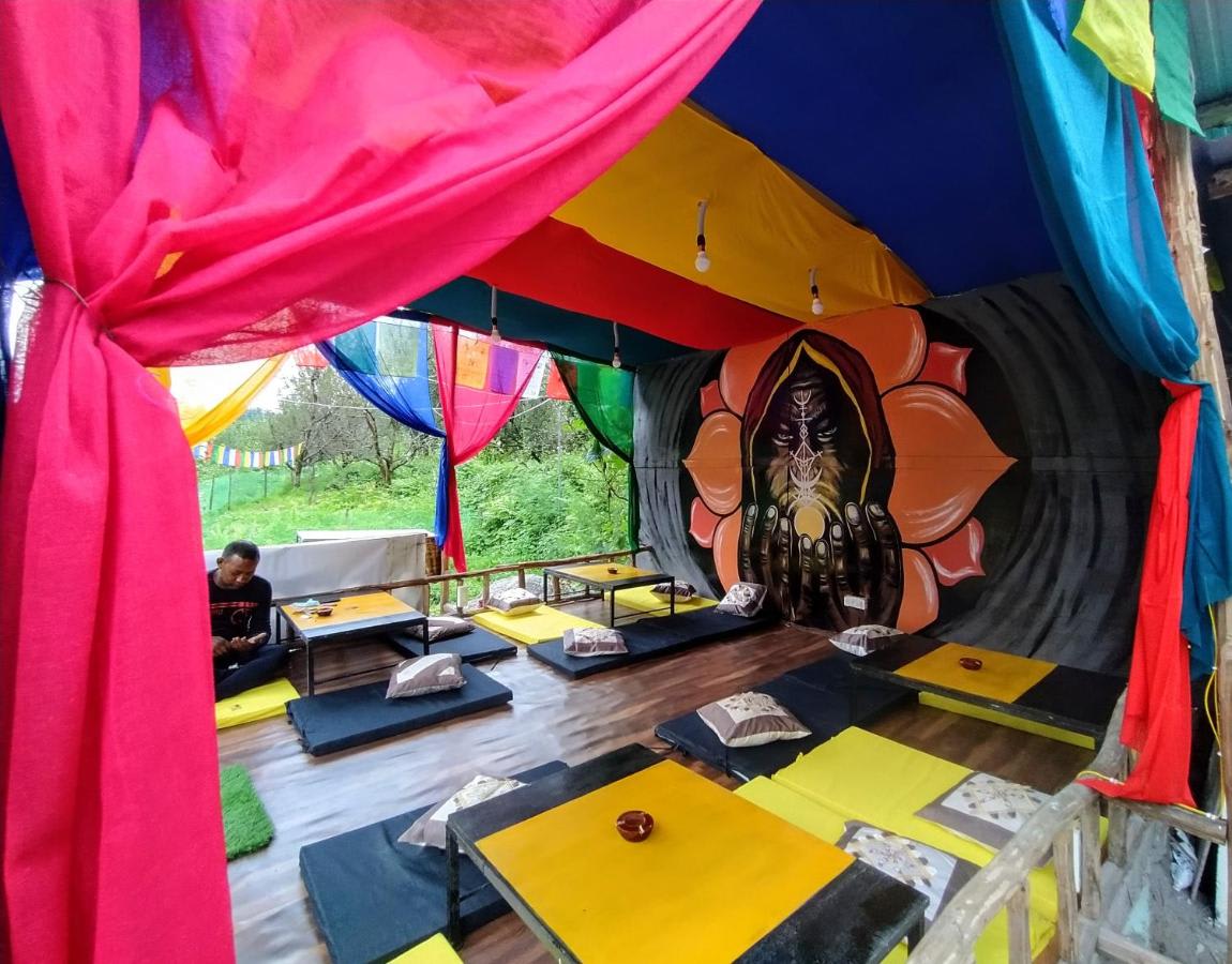 FARM Hostel & Camps photo 3