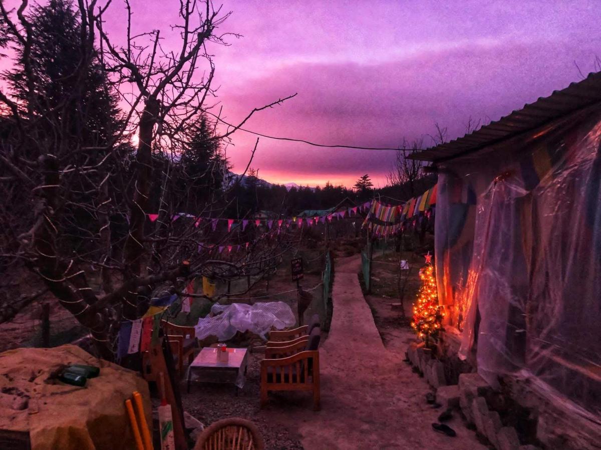 FARM Hostel & Camps photo 6