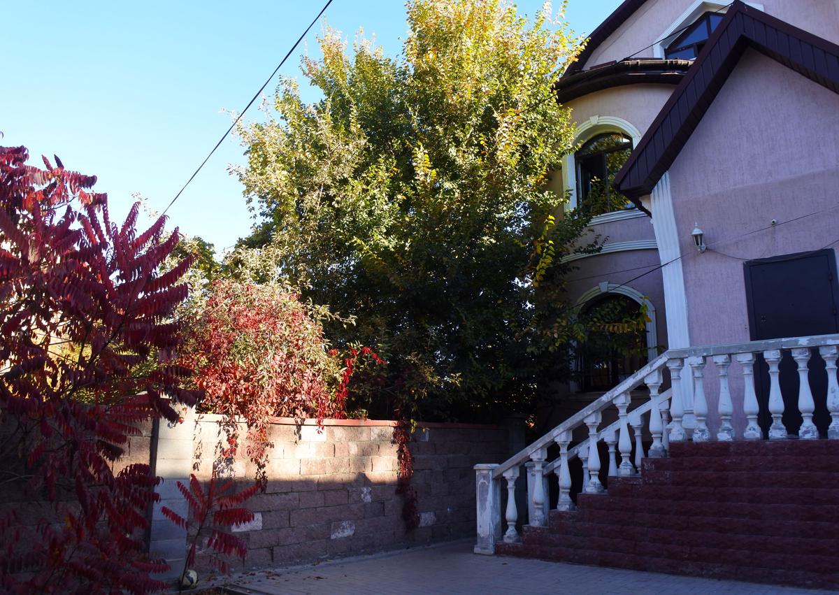Almaty Backpackers photo 1