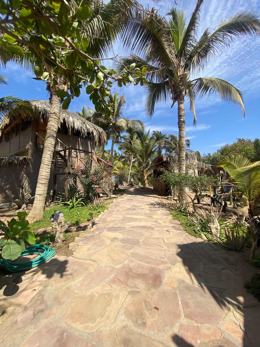 Laguna Surf Camp photo 4
