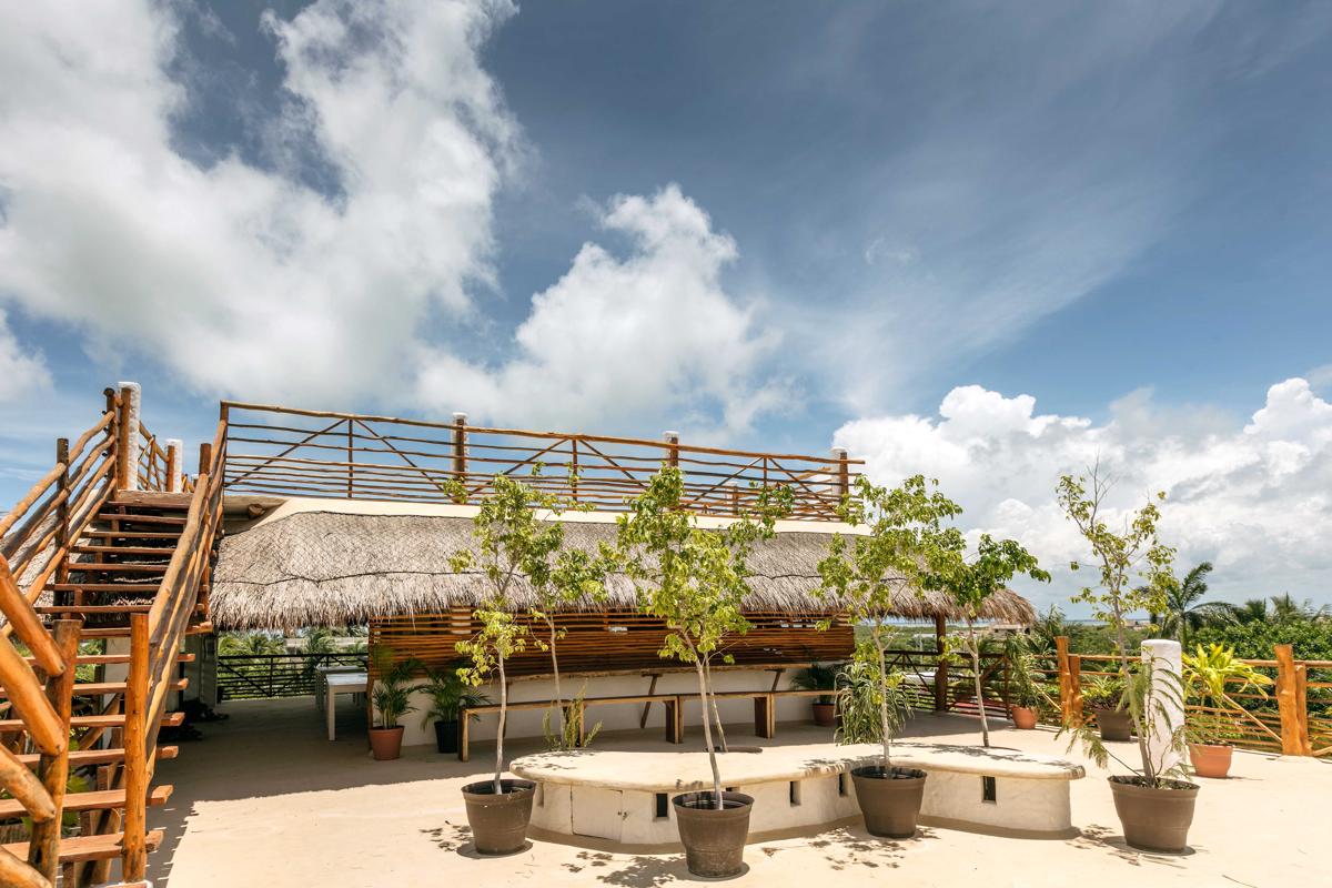 La Palma Holbox photo 3