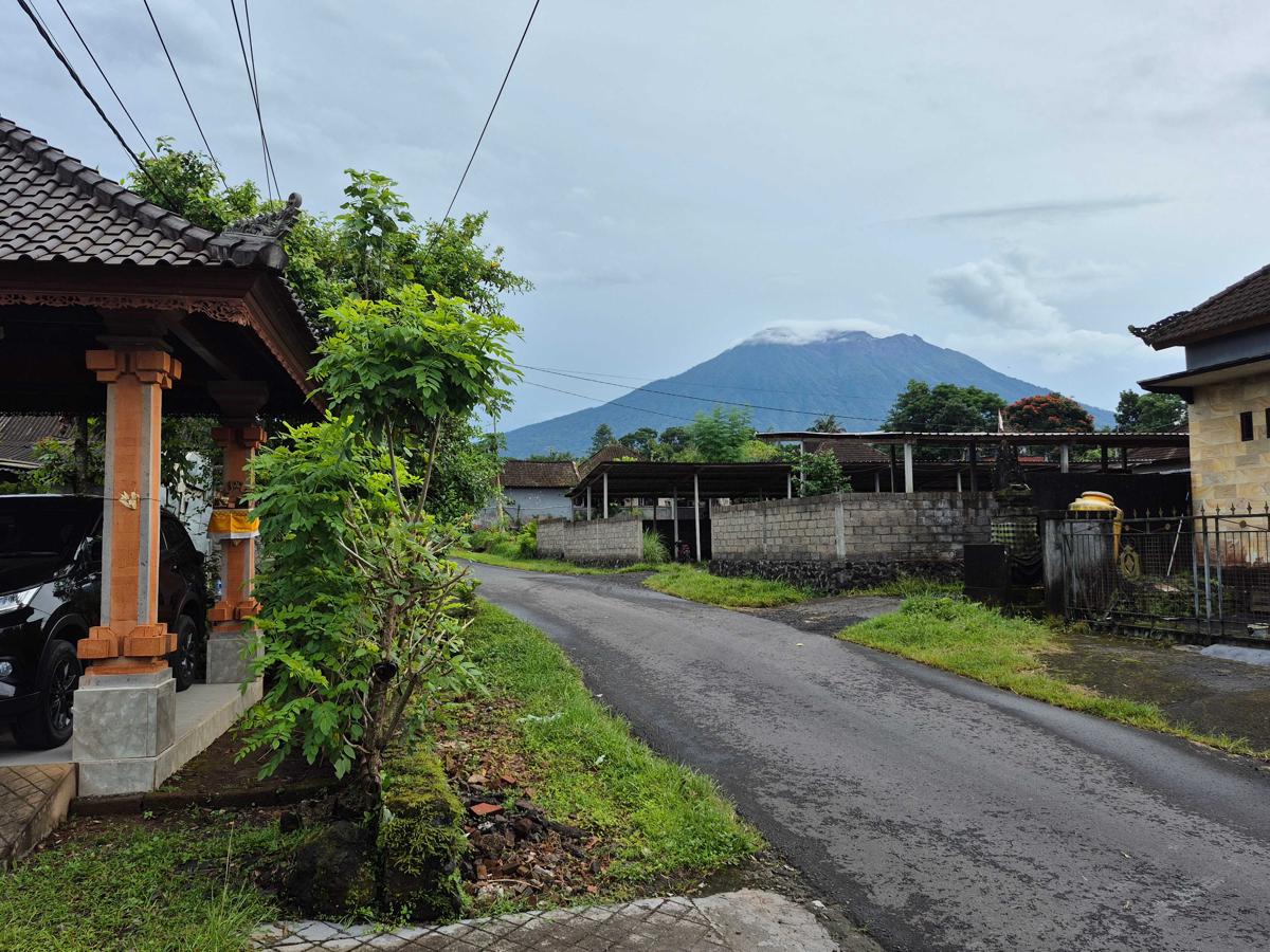 Villa Taman near Sidemen Bali photo 2