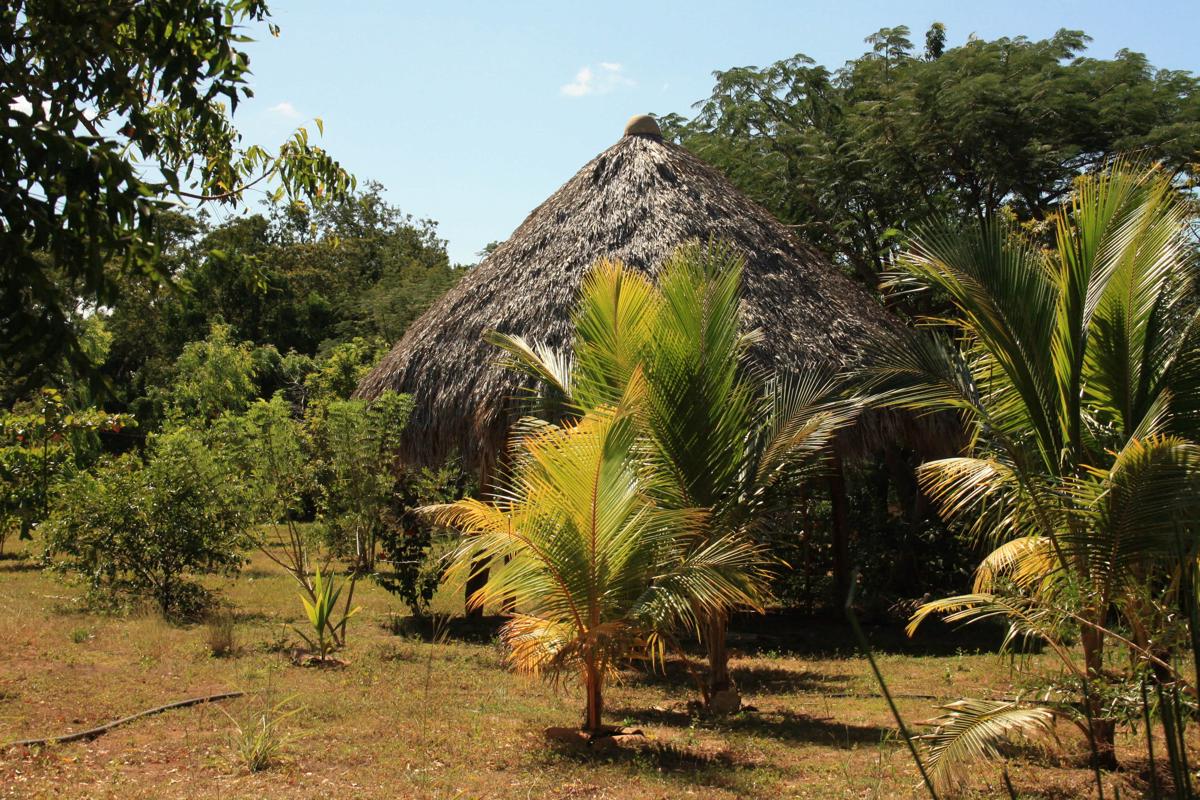Hostal Ojo de Agua photo 1