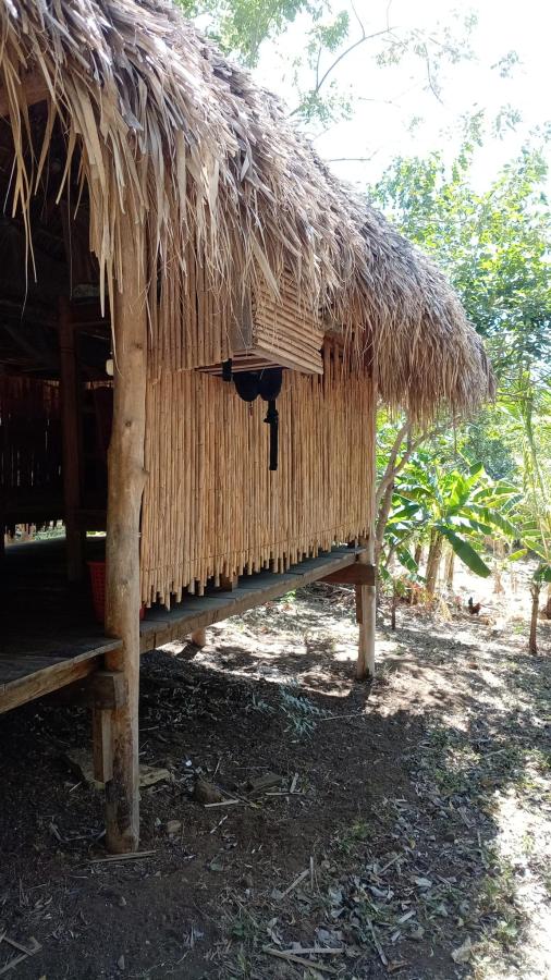 Hostal Ojo de Agua photo 6