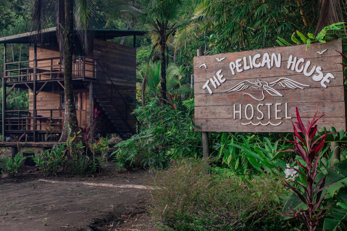 The Pelican House photo 2
