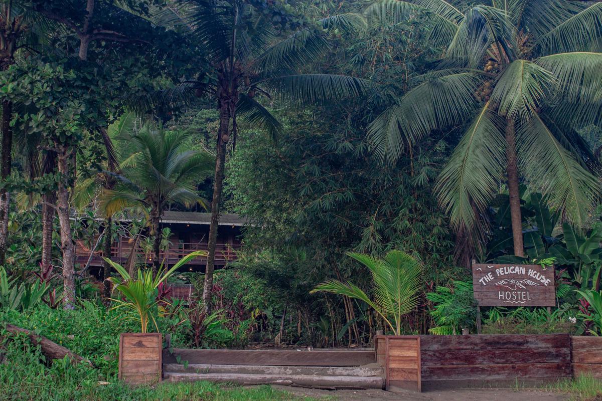 The Pelican House photo 3