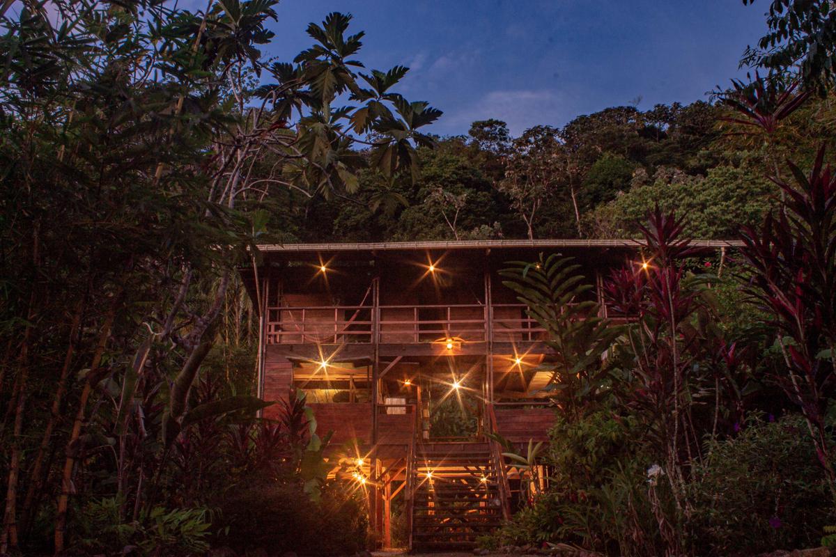 The Pelican House photo 4