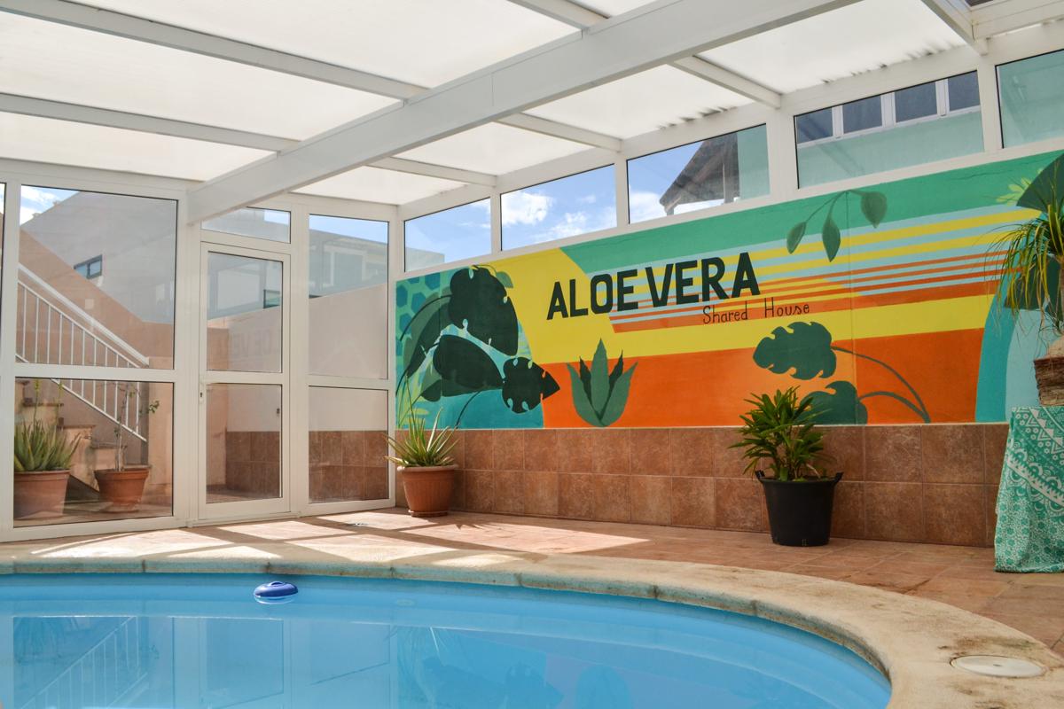 Aloe Vera Shared House photo 3