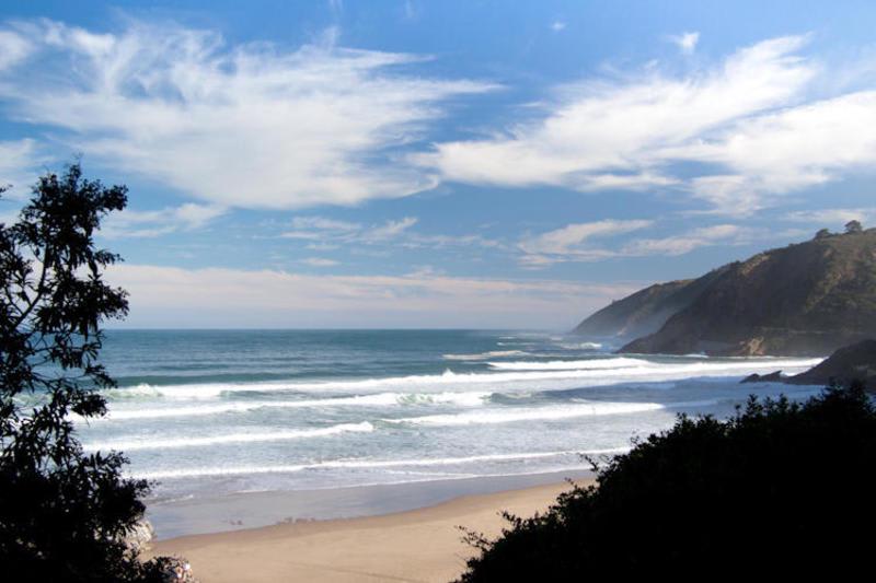 Wilderness Beach House Backpackers photo 4