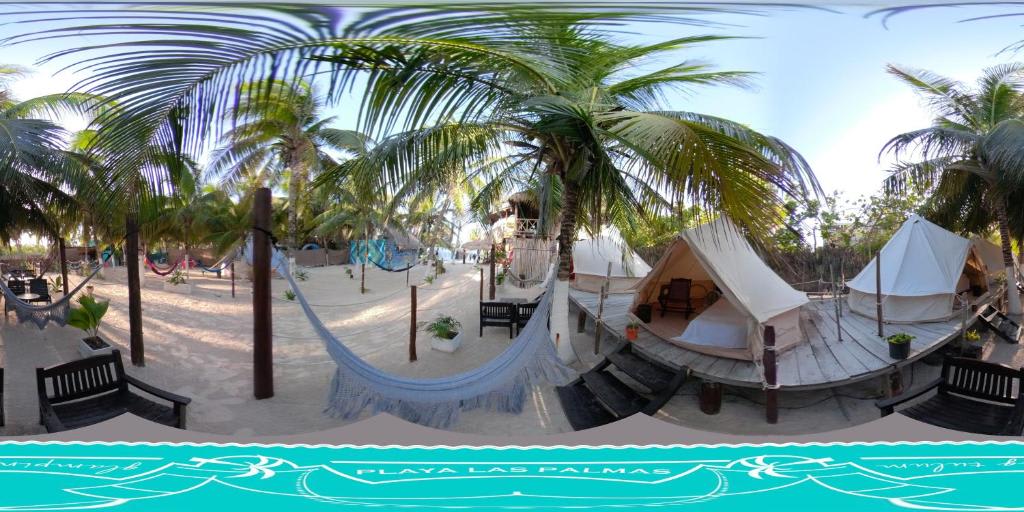 Playa las Palmas Glamping photo 2