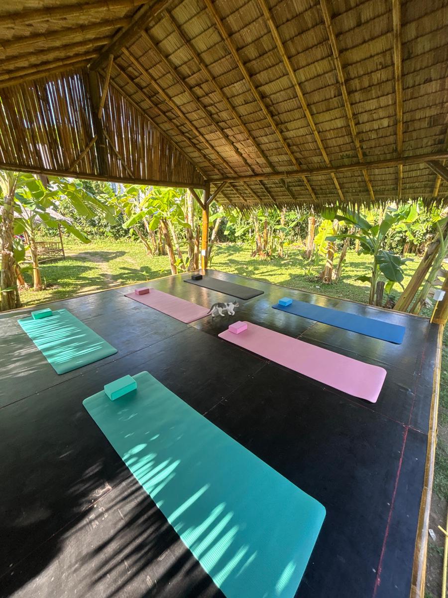 Chill Out Resort photo 3