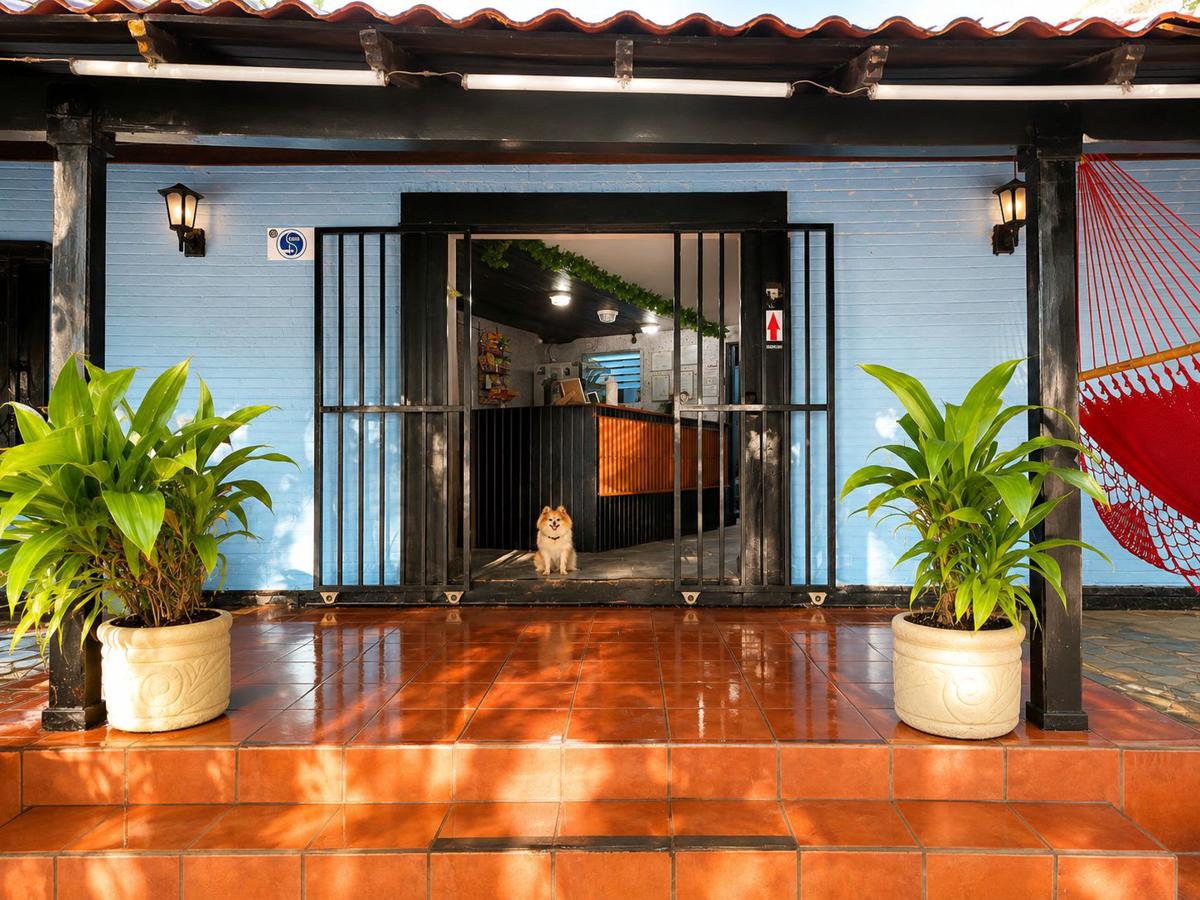 Oasis Hostel Managua photo 1