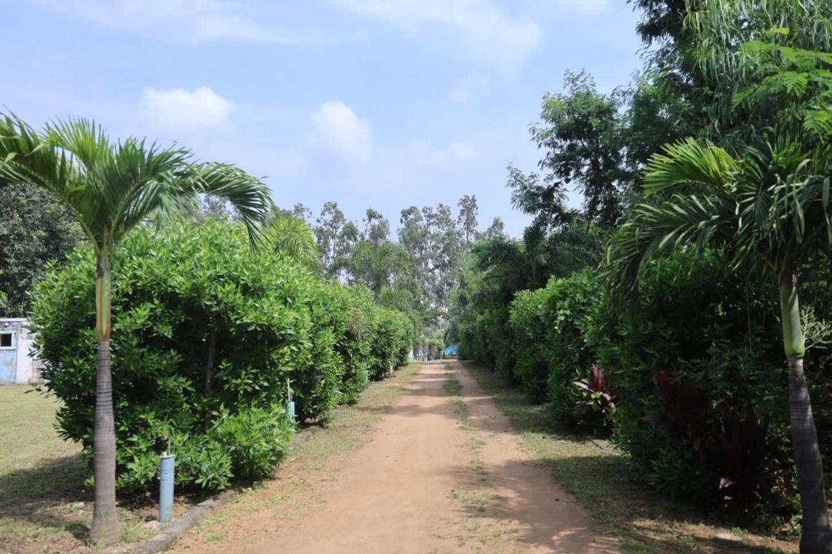 Hampi Blue Moon Resort photo 2