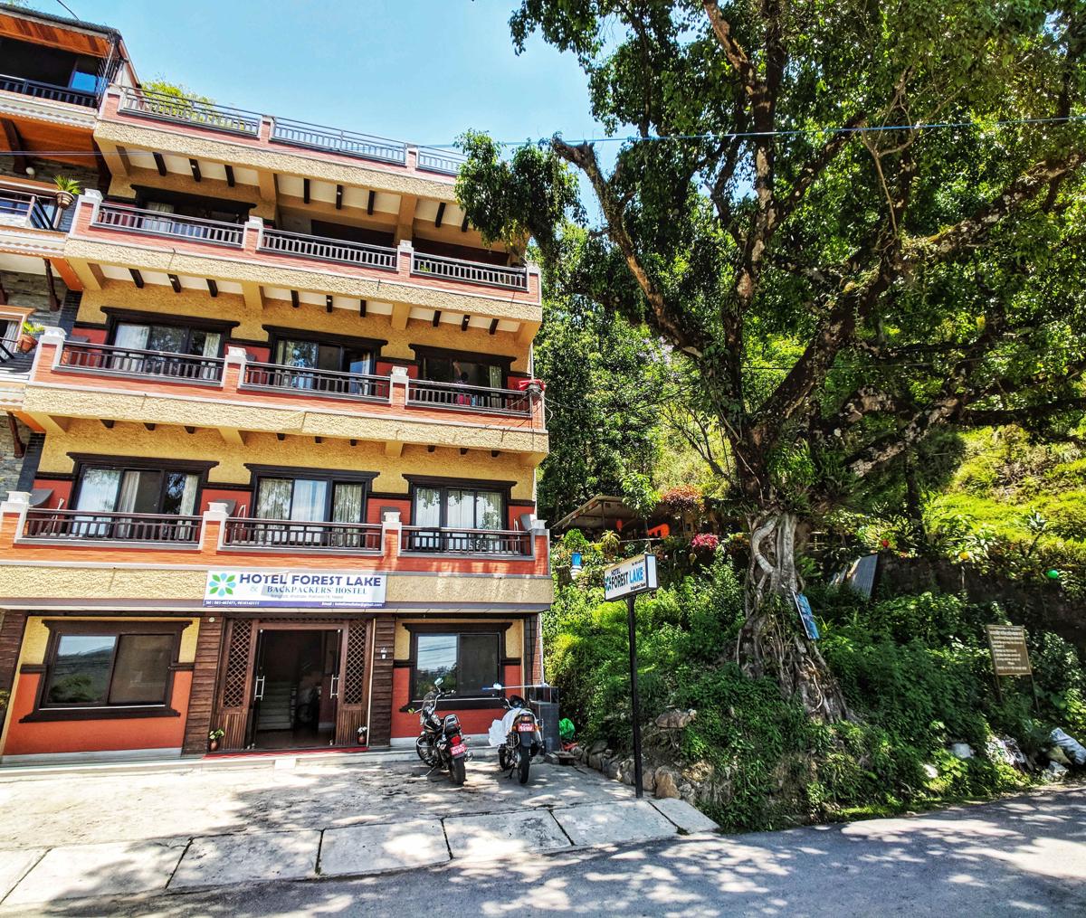 Forest Lake Backpackers Hostel photo 4