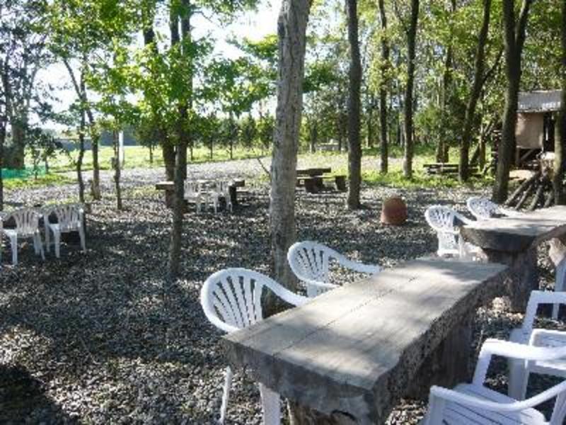 Lilac Hotels & Resort photo 5