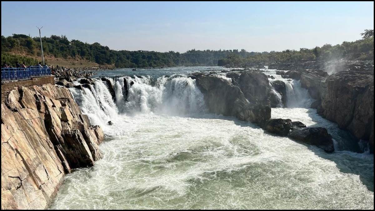 The Bunkyard photo 4