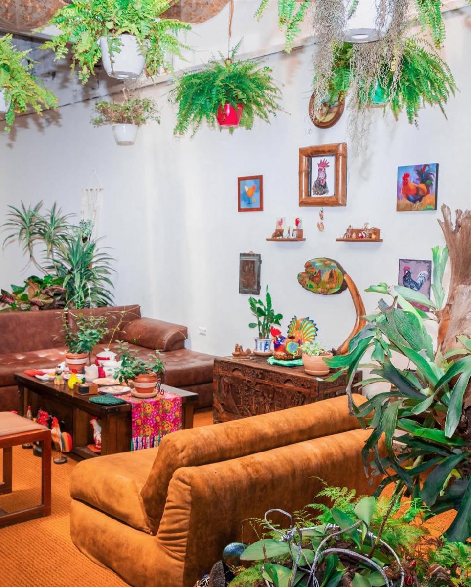 Dosis Cafe y Hostal photo 1