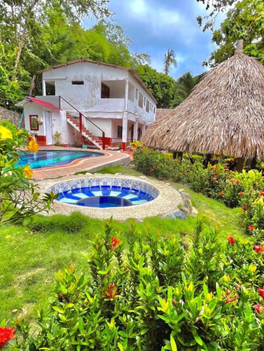 Manigua Tayrona Hostel photo 3