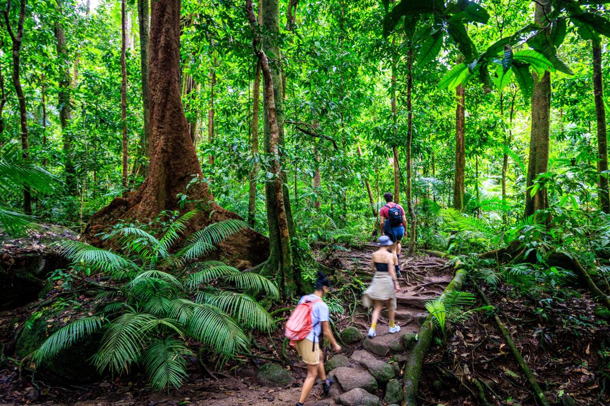 YHA Cairns Central photo 4