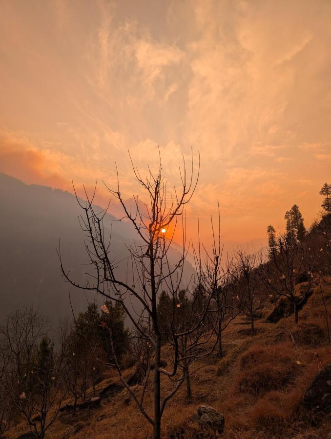 Parvati's Lap Hostel & Camps photo 6