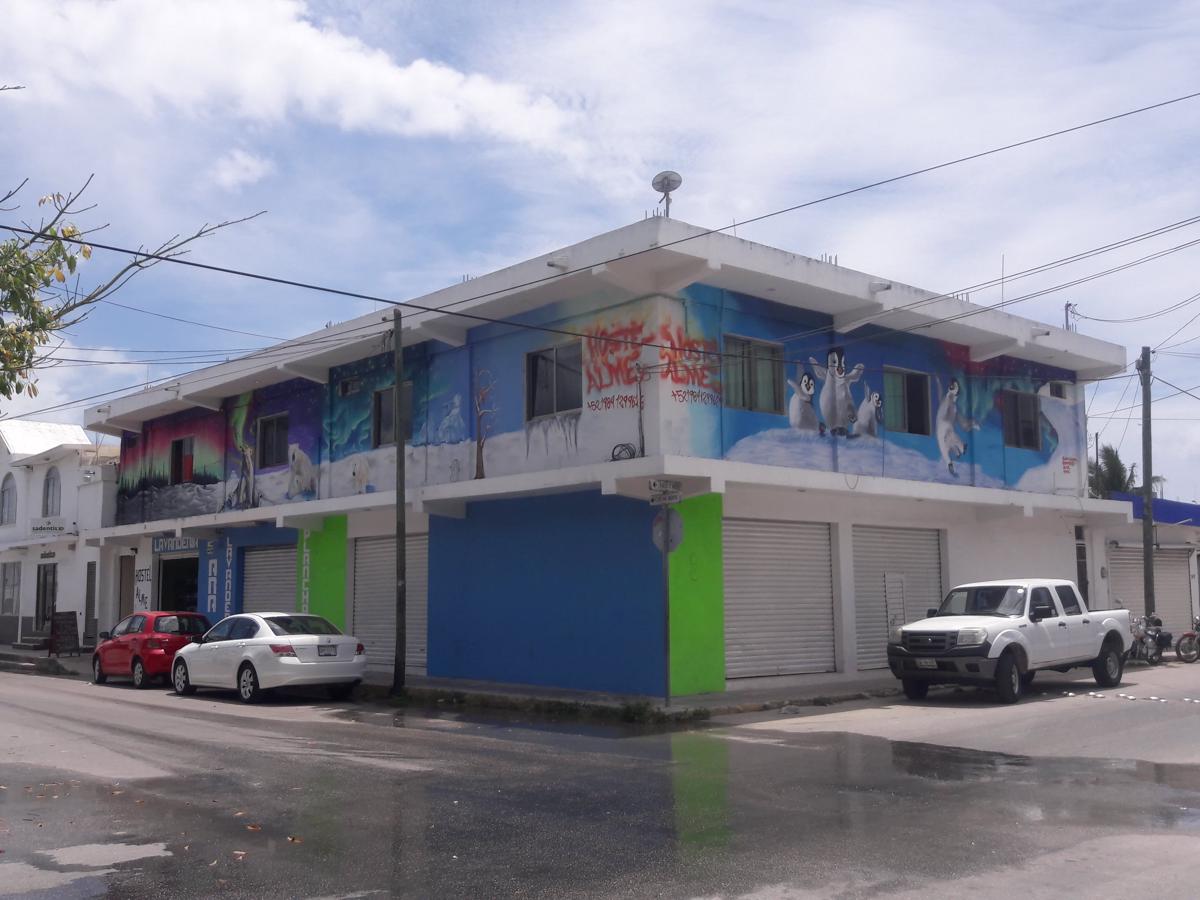 Hostel Alme photo 4