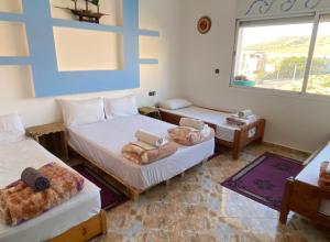 Africa Surf House photo 3
