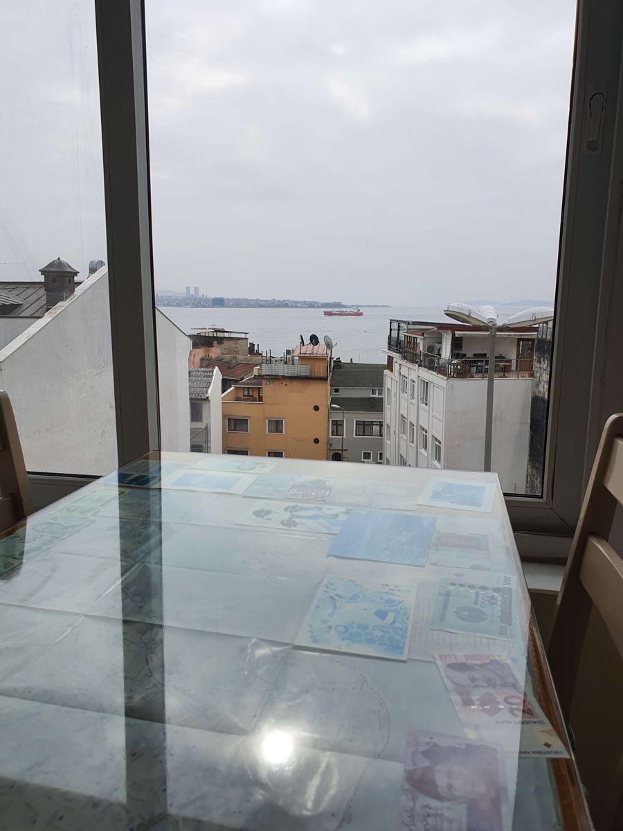 Tulip Guesthouse photo 1