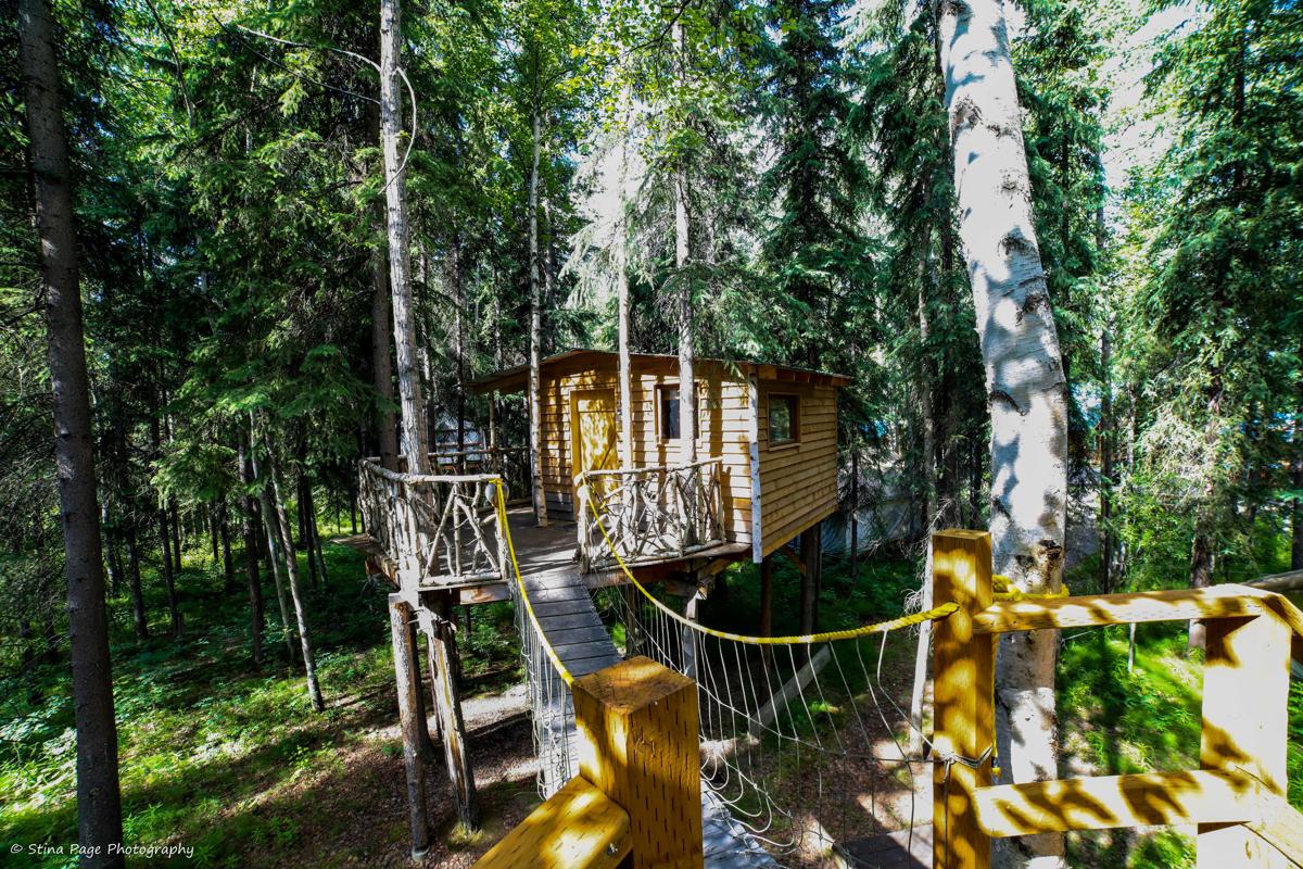 Sven's Basecamp Hostel photo 4