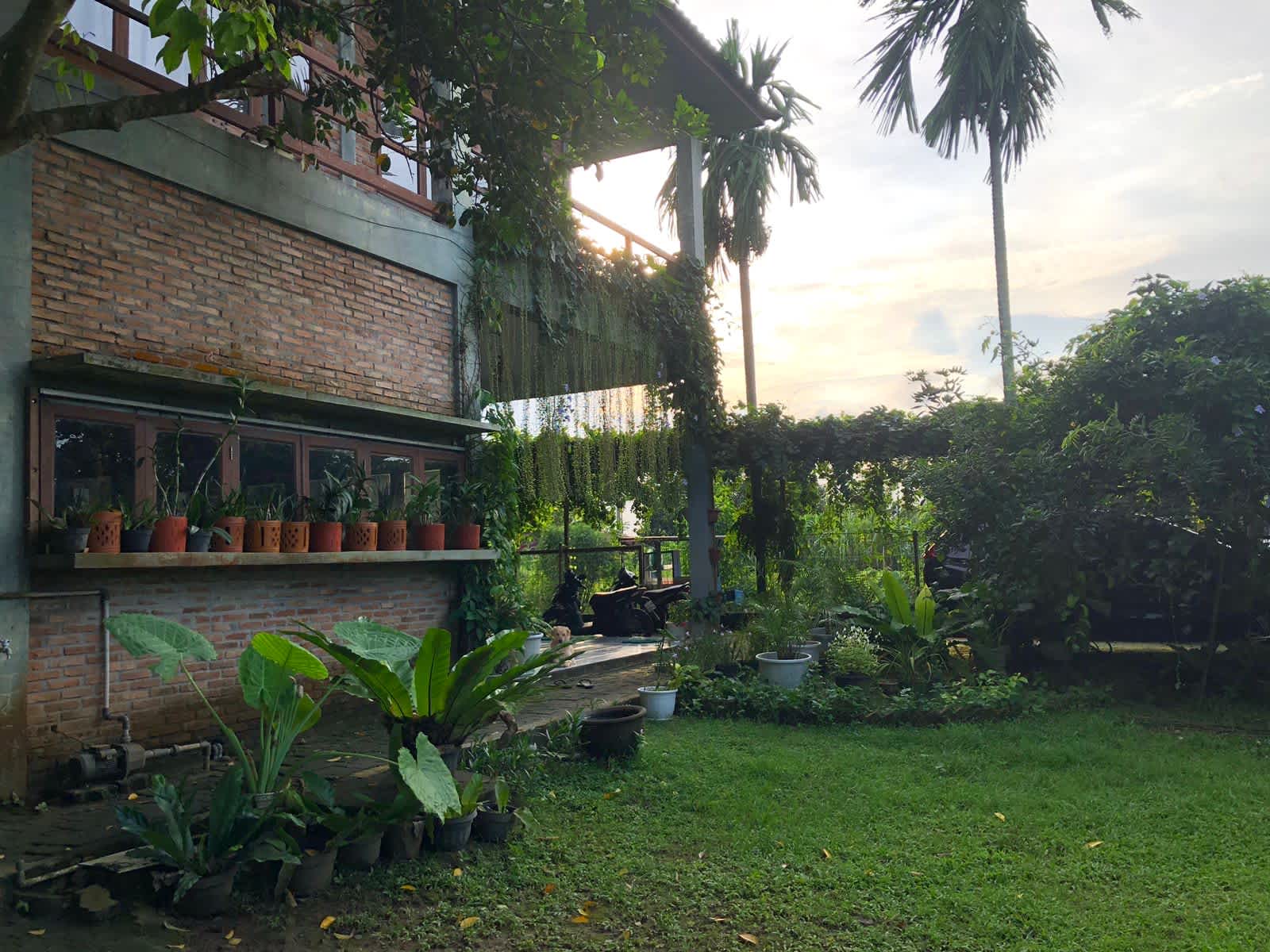 Bua Guest House photo 4