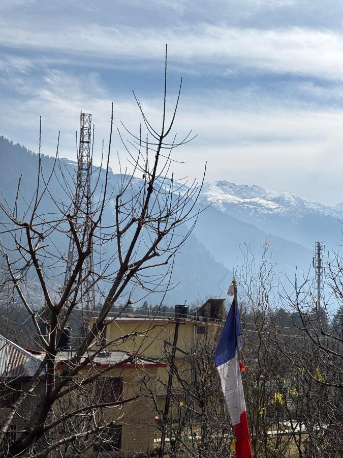Zostel Old Manali photo 6