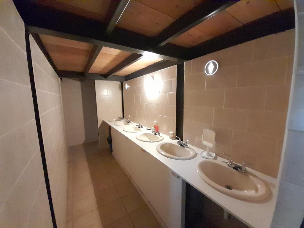 Hostal Casa Buho photo 3