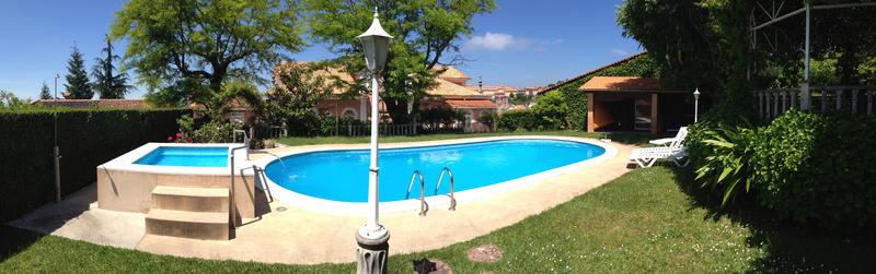 Alegre photo 2