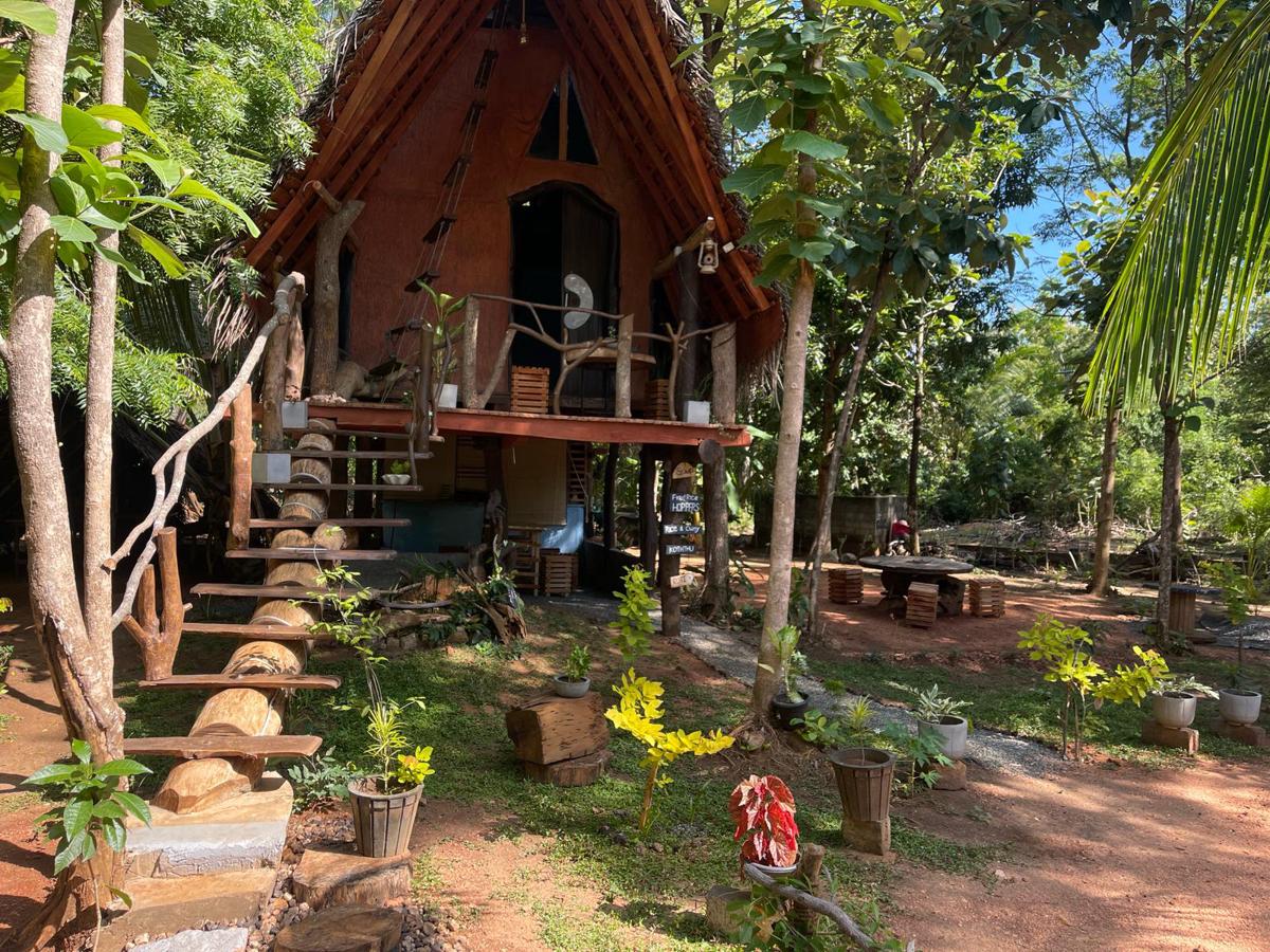 Sigiri Hunter's  Eco Tree Lodge photo 1
