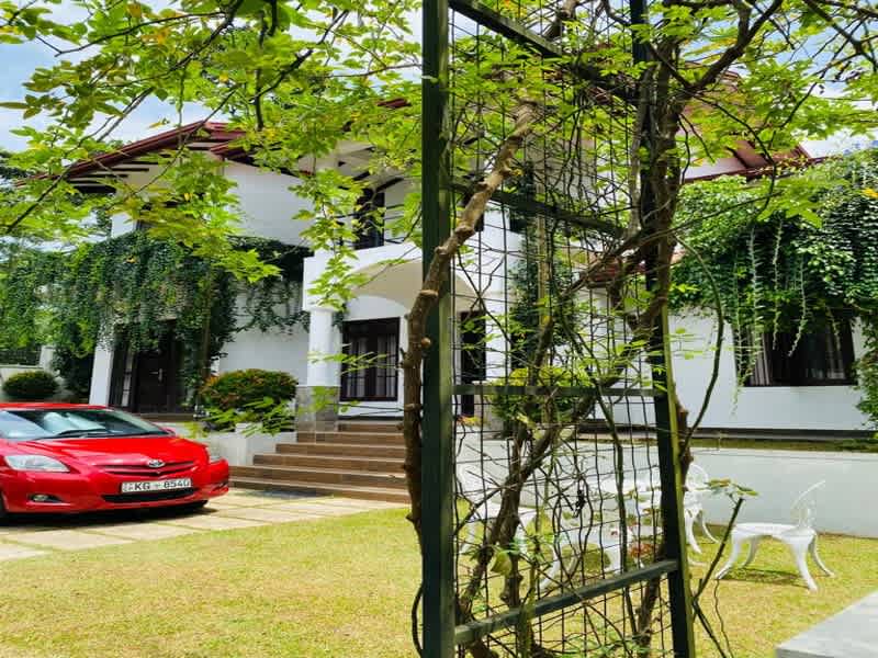 Serene Villa photo 2
