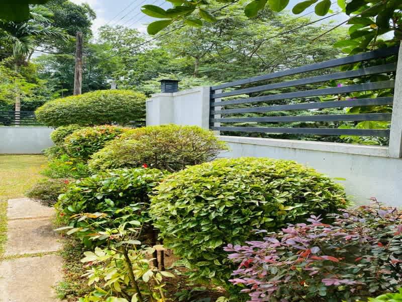 Serene Villa photo 4