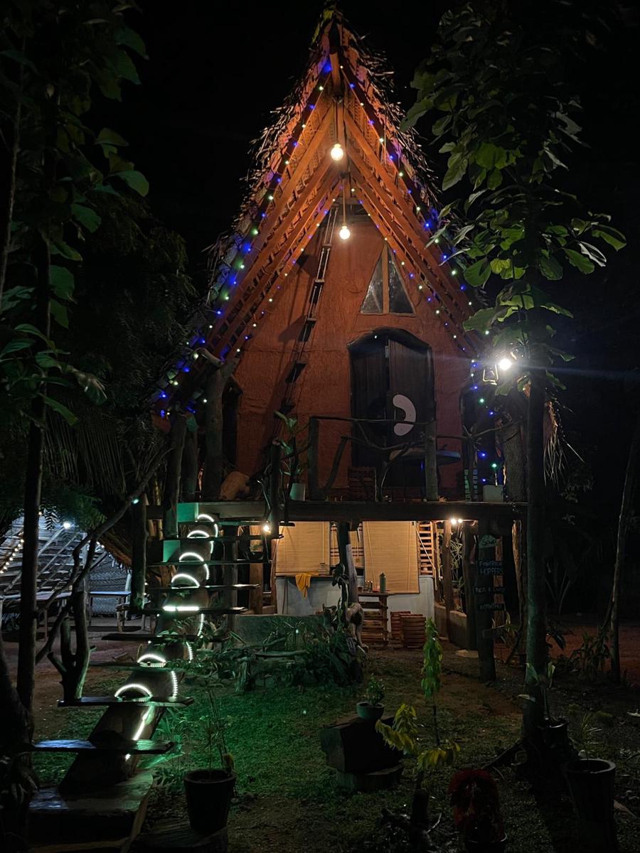 Sigiri Hunter's  Eco Tree Lodge photo 2