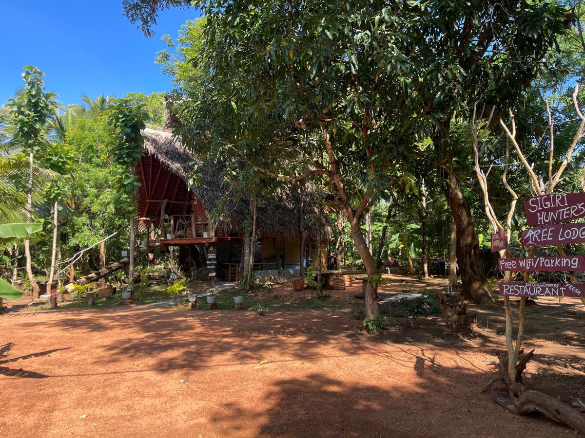 Sigiri Hunter's  Eco Tree Lodge photo 3