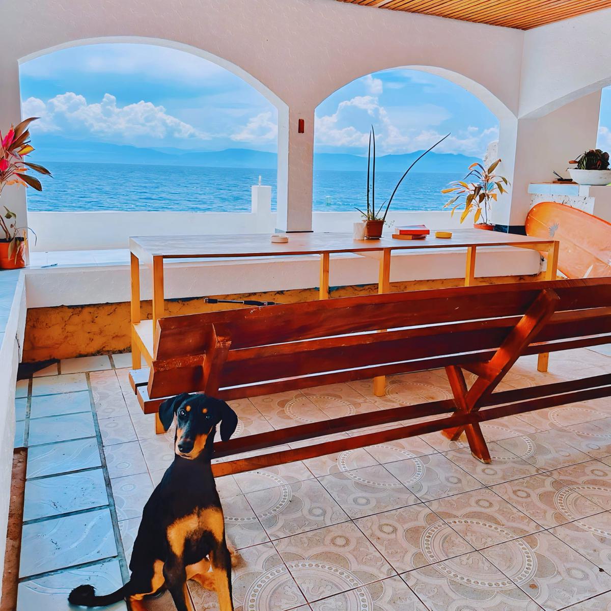 Moana Beach House photo 1