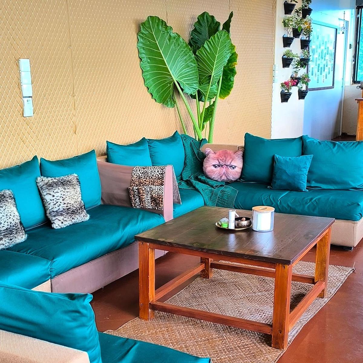 Penthouse Hostel Mirissa photo 2