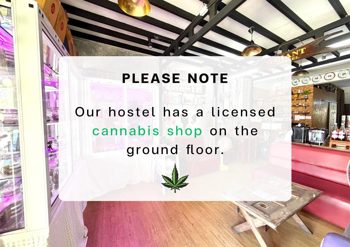 Giant Hostel photo 2