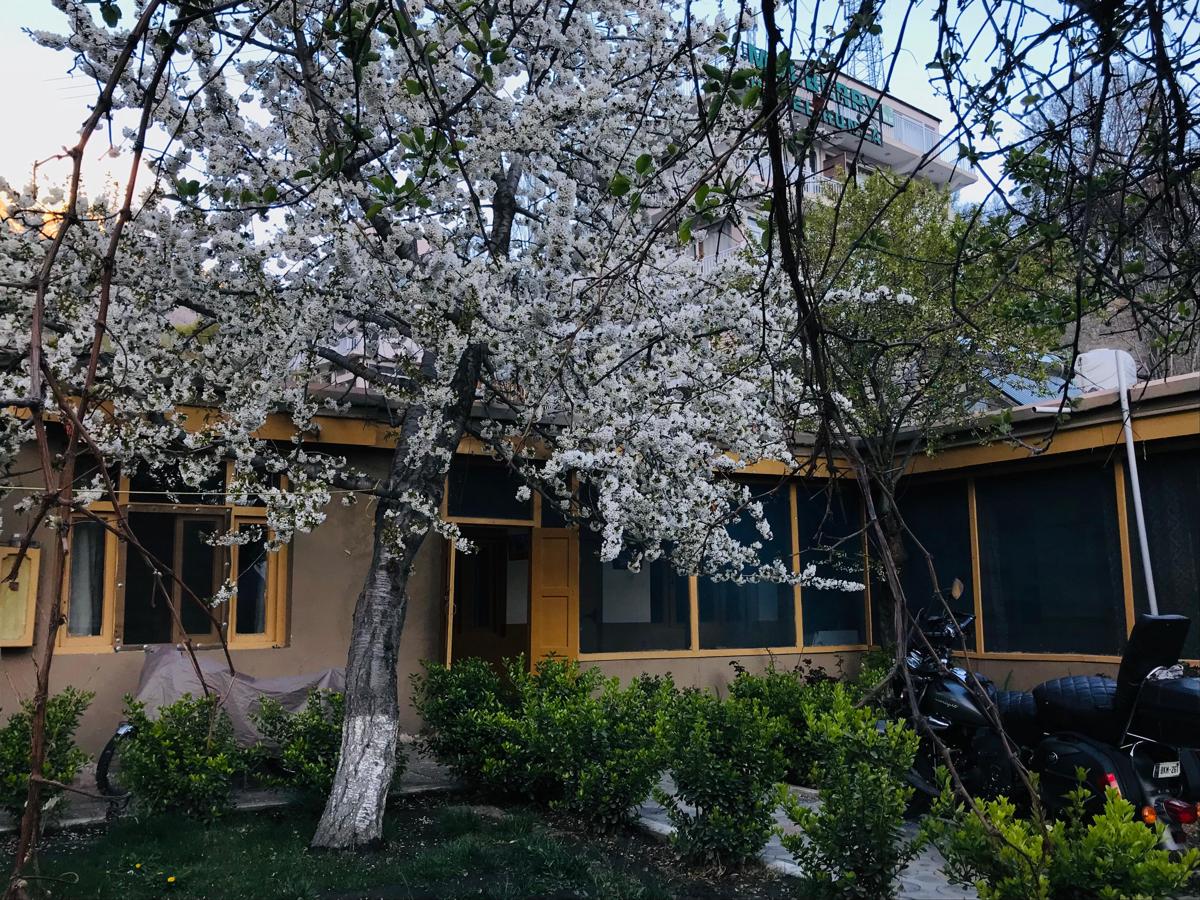 Hunza Backpackers Inn photo 1