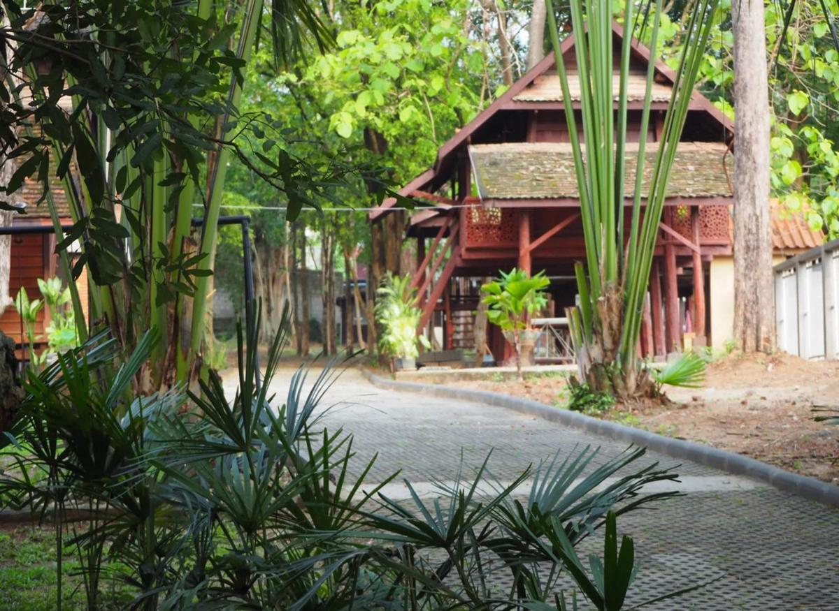 Insight Hostel photo 1